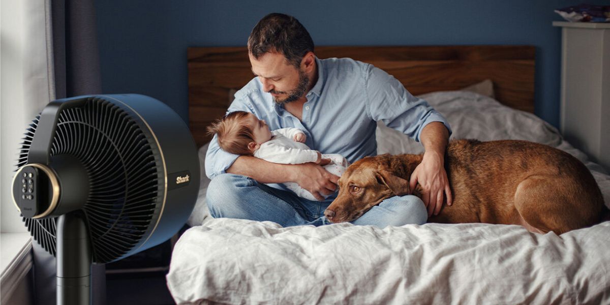 Pedestal fans can be useful for creating a targeted cooling effect, especially when used in conjunction with air conditioning