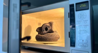 A koala design wheat bag heat pack inside a microwave