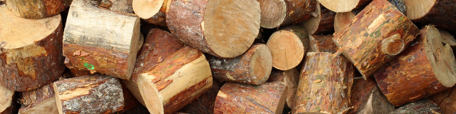 Power Saws Buying Guide