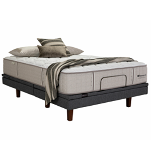 Sealy Sophia Mattresses