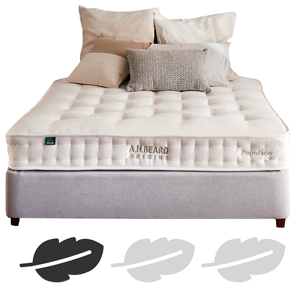 Firm Queen Mattresses