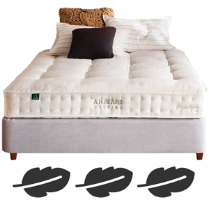 Plush Queen Mattresses