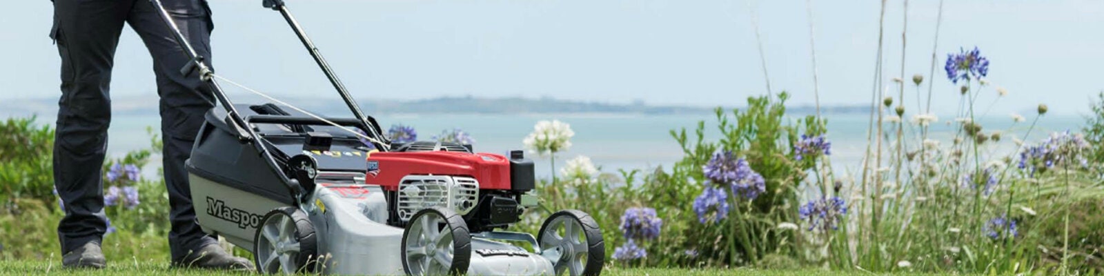 Masport