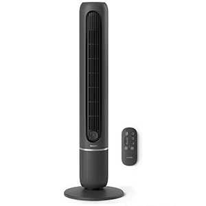 Fans